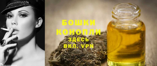 ALPHA-PVP Елизово